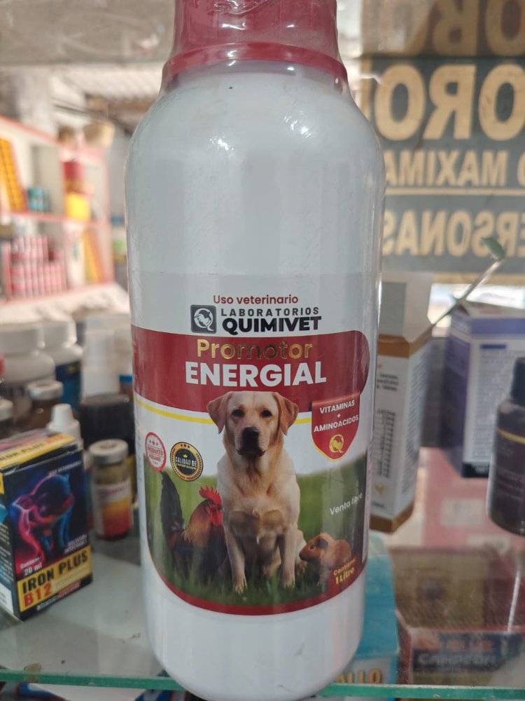 promotor energia x 1 litro