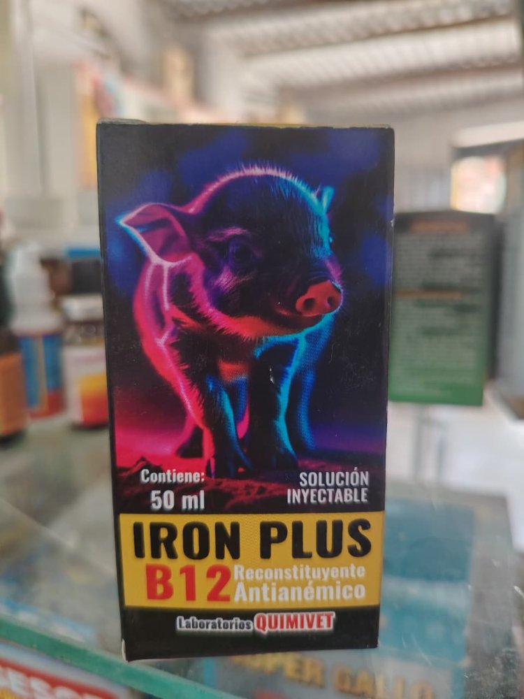 iron plus b12 x 50ml