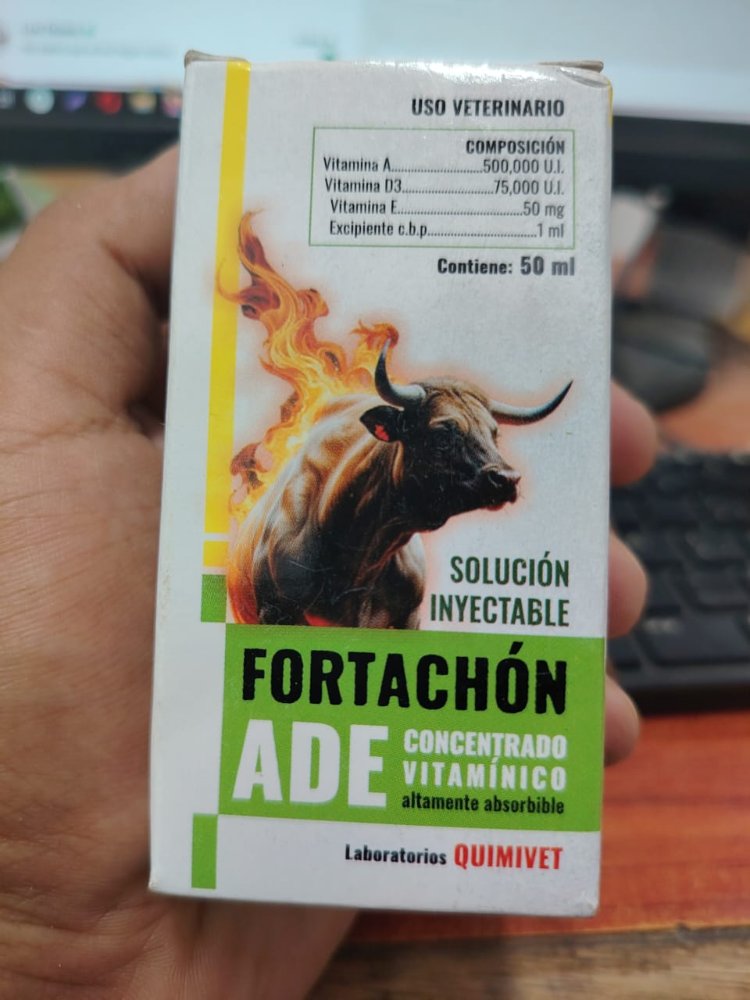Fortachon ADE