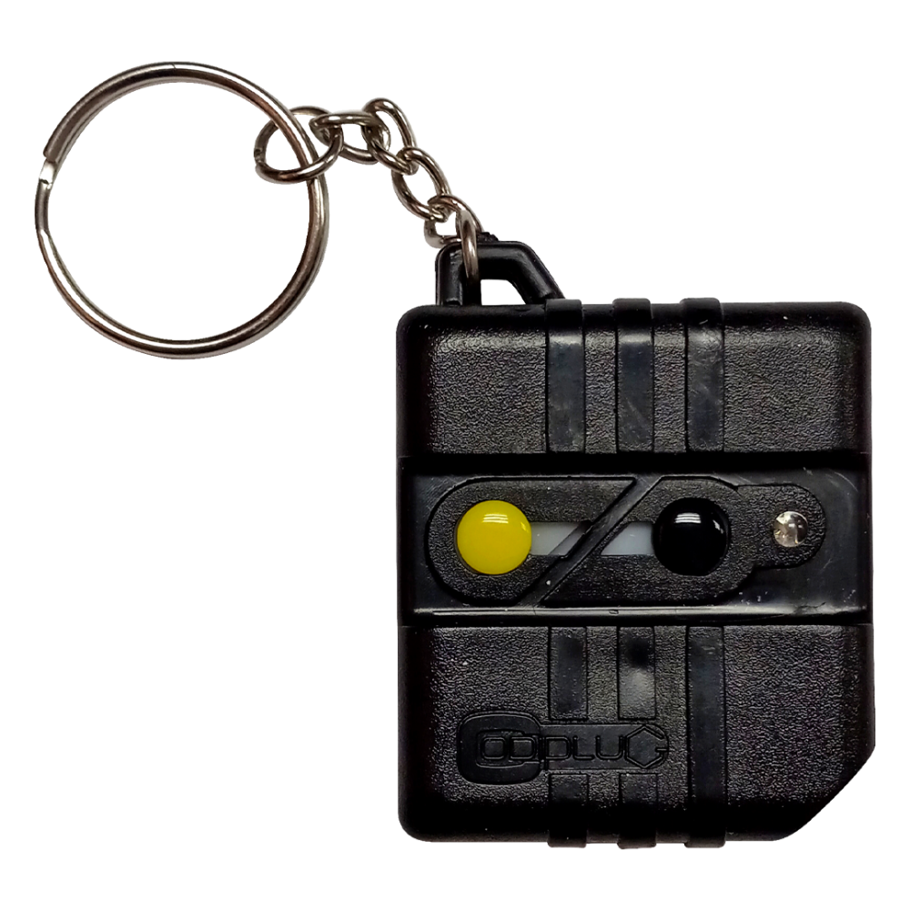 CONTROL CODIPLUG