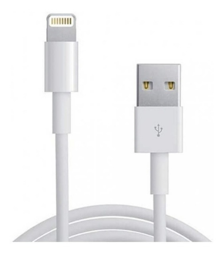 CABLE LIGHTNING 1MTS