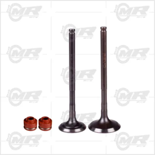 VALVULAS CHERRY   CBF 125/ XR 125L BRIO  /MRX 125
