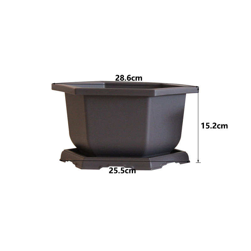 Matero Chino mediano ( Hexagonal)