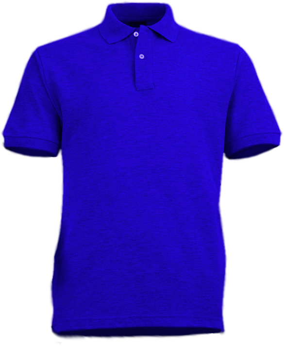 Camisa P.Azul Electrico