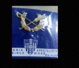 Insignia de Especialista