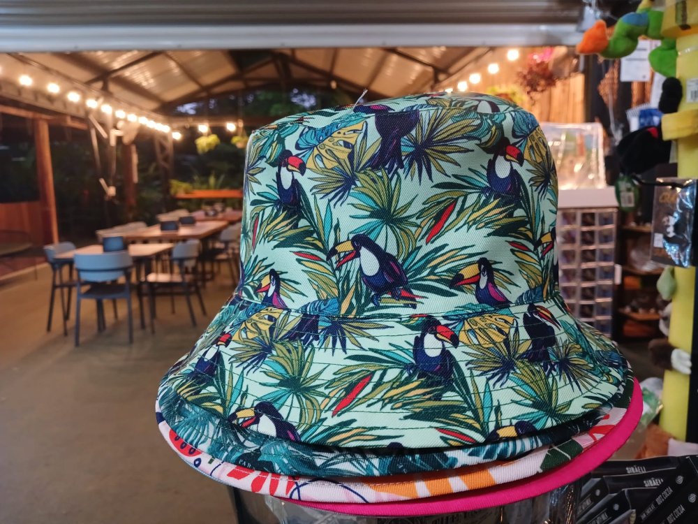 74 Sombrero Sloth