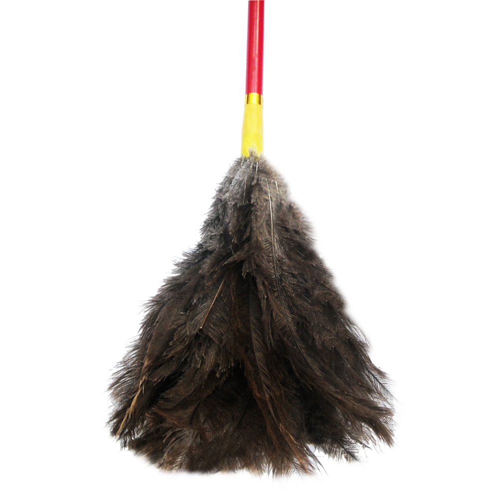 Plumero pluma (rojo)