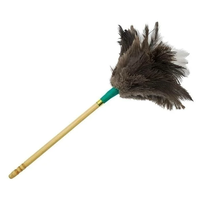 Plumero pluma (verde)