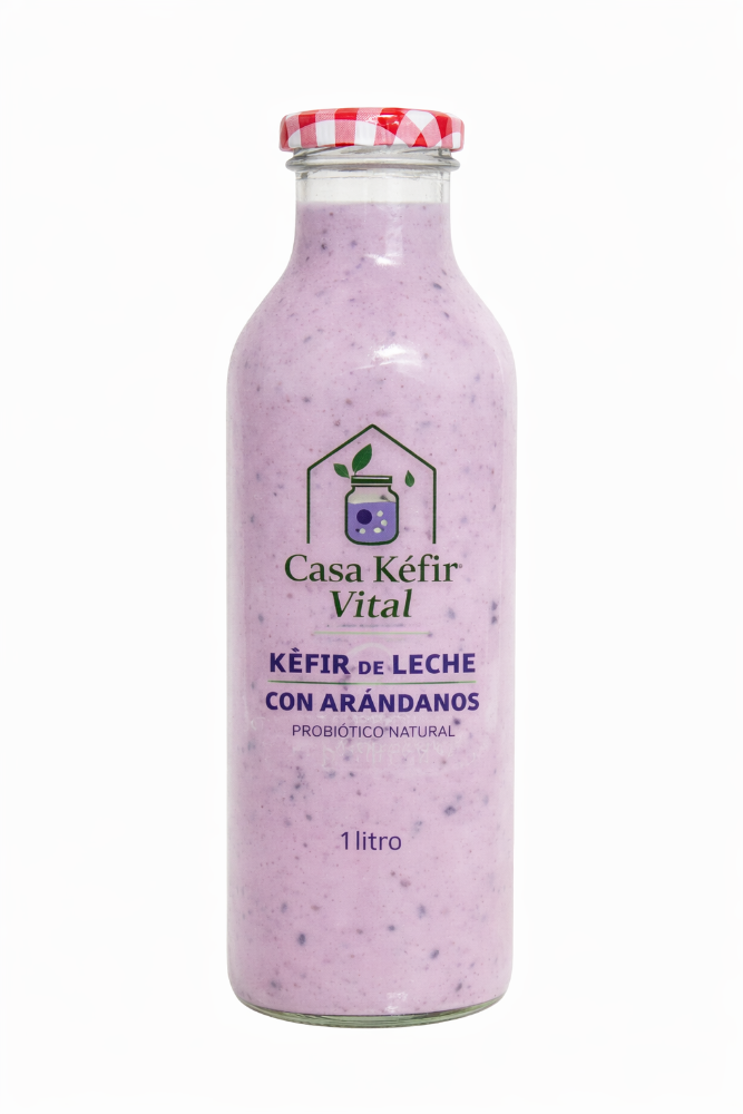 KÉFIR DE LECHE SABOR ARANDANOS 1 litro - Probiótico natural artesanal