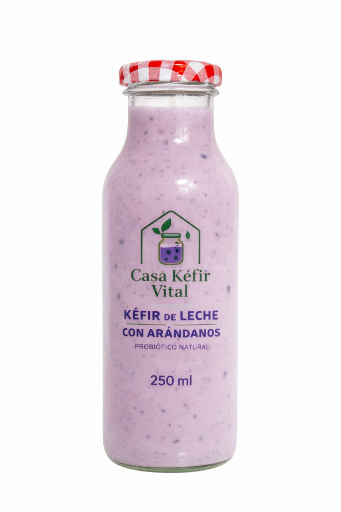 KÉFIR DE LECHE SABOR ARANDANOS 250 ml - Probiótico natural artesanal