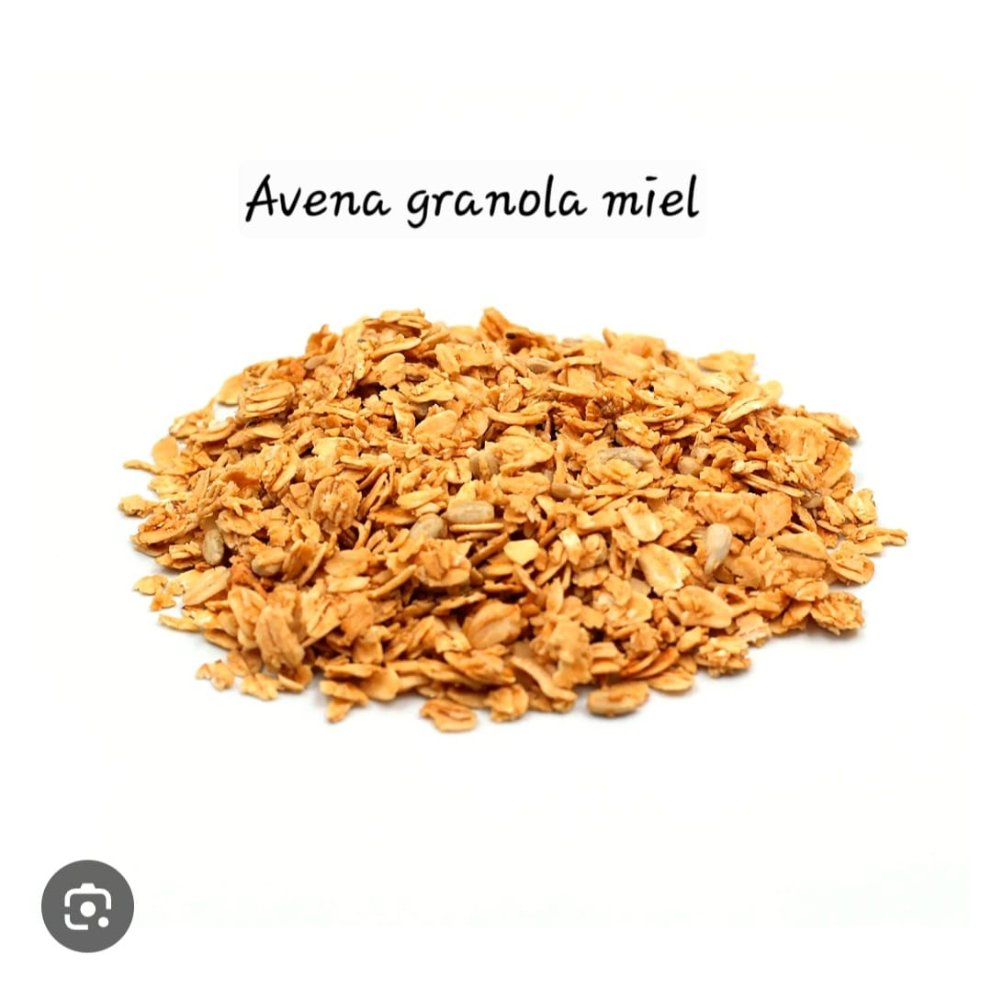 AVENA GRANOLA MIEL 500 GR