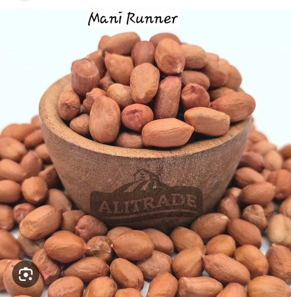 MANI RUNNER ARGENTINO 500 GR