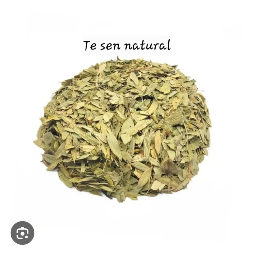 TE SEN NATURAL 40 GR