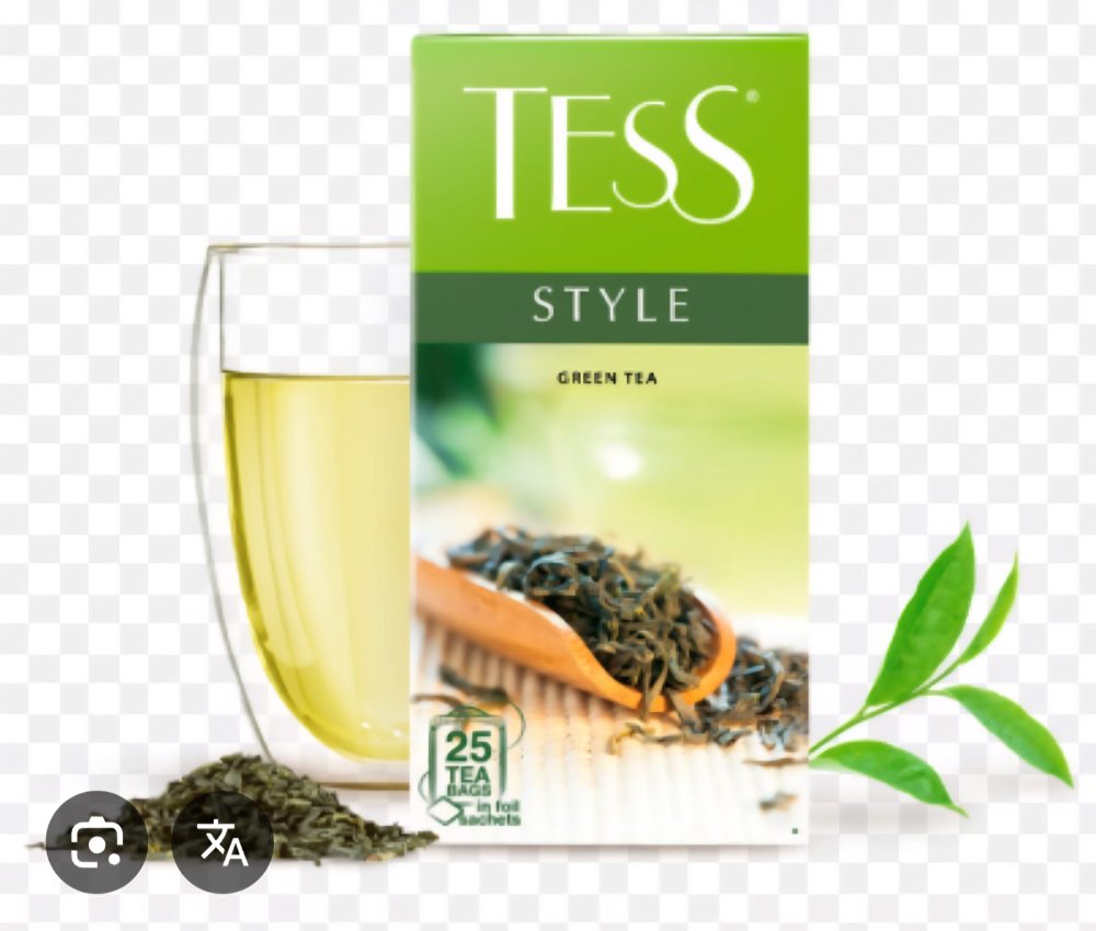 TESS STYLE 25 SACHETS DE TE