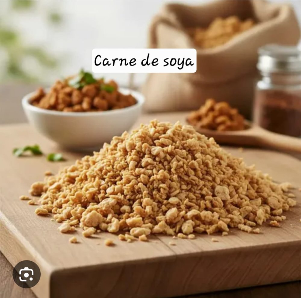 CARNE DE SOYA COLOR NATURAL 1 KG