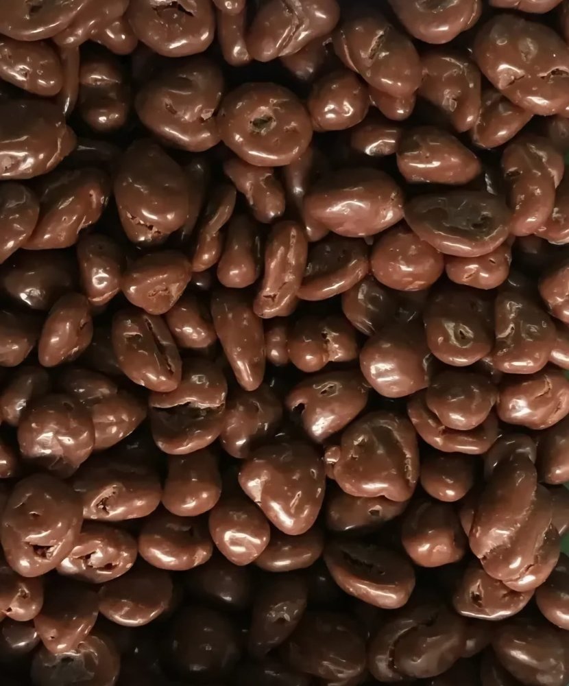CRAMBERRY BAÑADO EN CHOCOLATE 100 GR