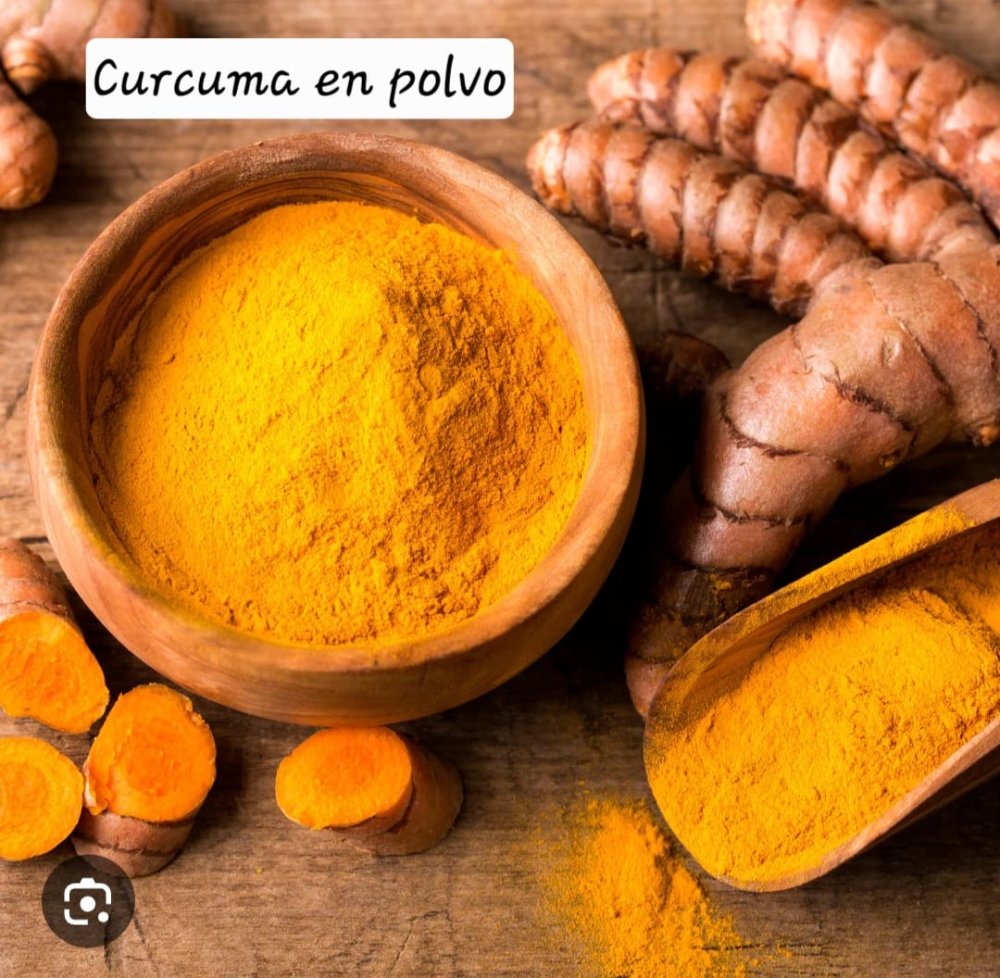 CURCUMA EN POLVO 100GR