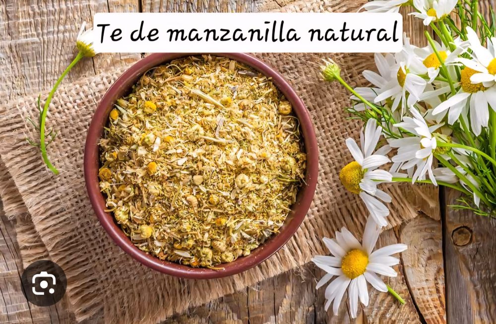 TE DE MANZANILLA NATURAL 15 GR