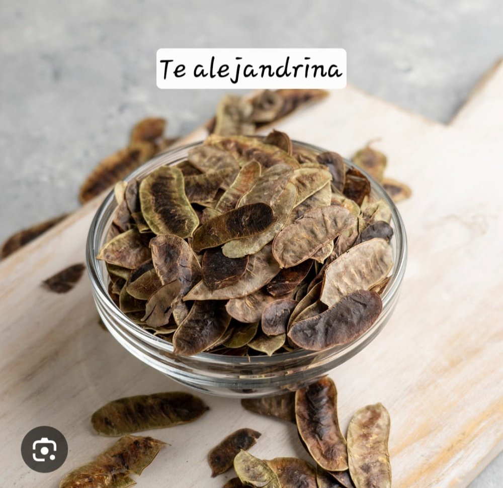 TE ALEJANDRINA 25 GR