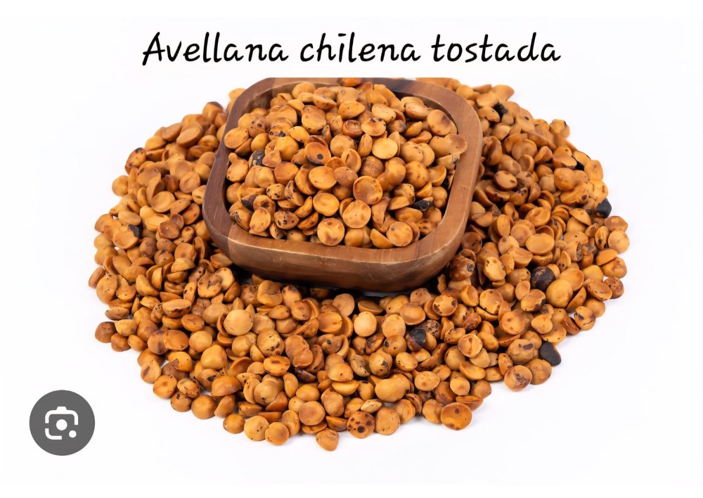AVELLANAS CHILENAS TOSTADAS 100 GR