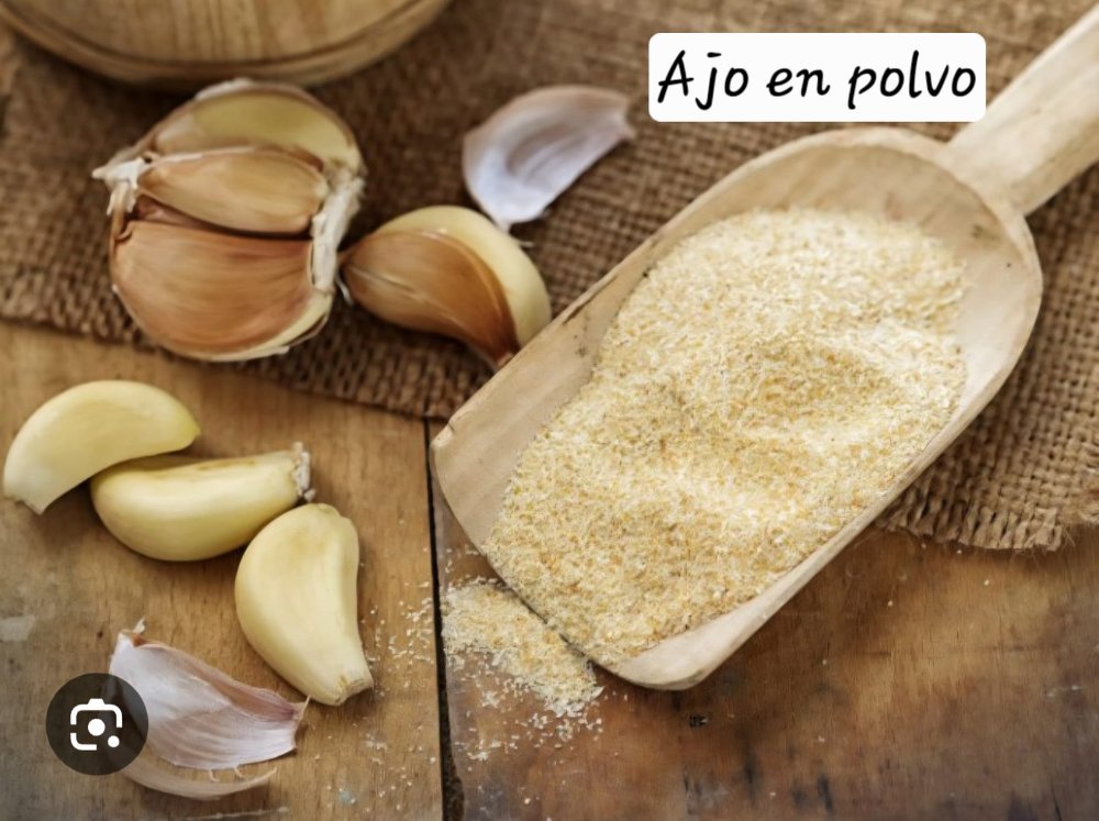 AJO EN POLVO 100GR