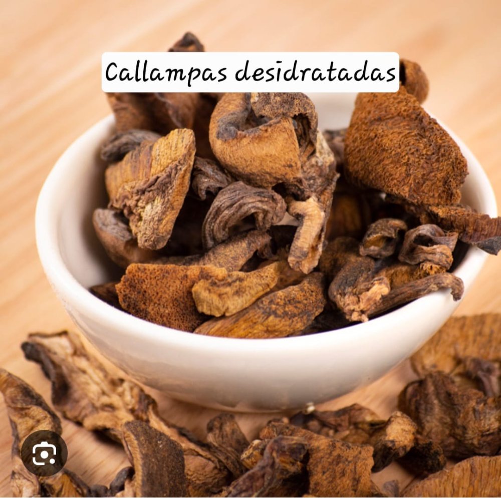 CALLAMPA DESIDRATADA 50 GR
