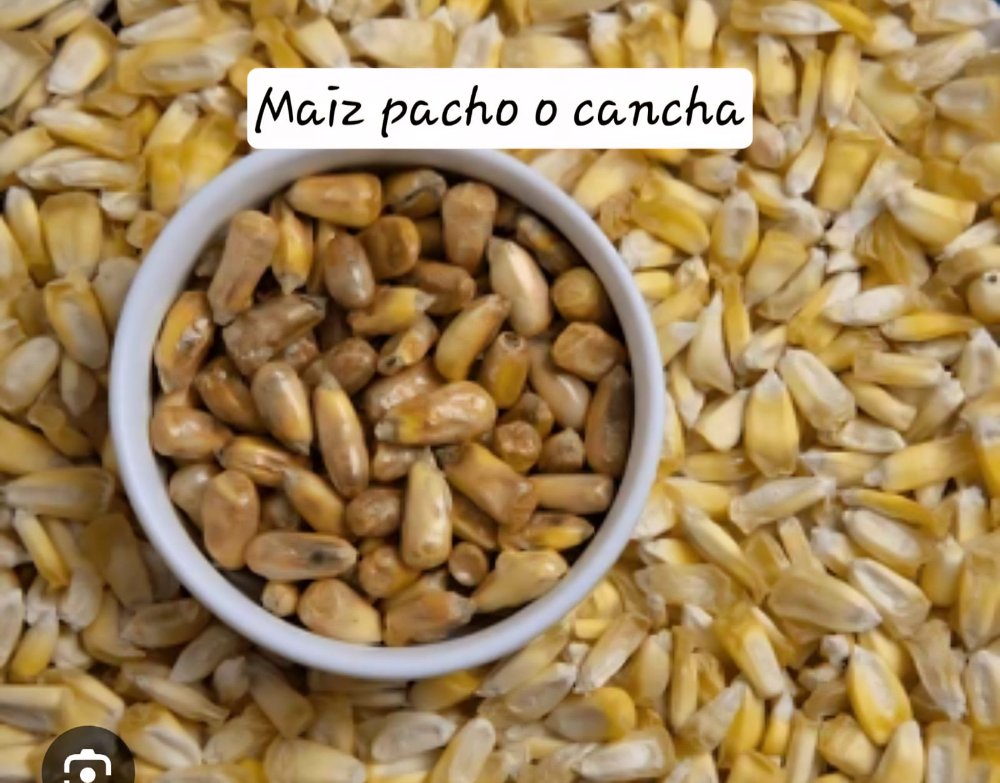 MAIZ PACHO
