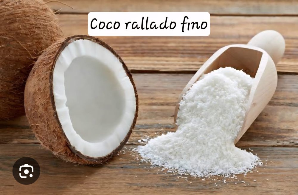 COCO RALLADO  FINO 400 GR