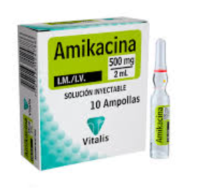 AMIKACINA INY 500 MG/2ML X10 AMP IM.IV