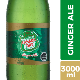 CANADA DRY 3L