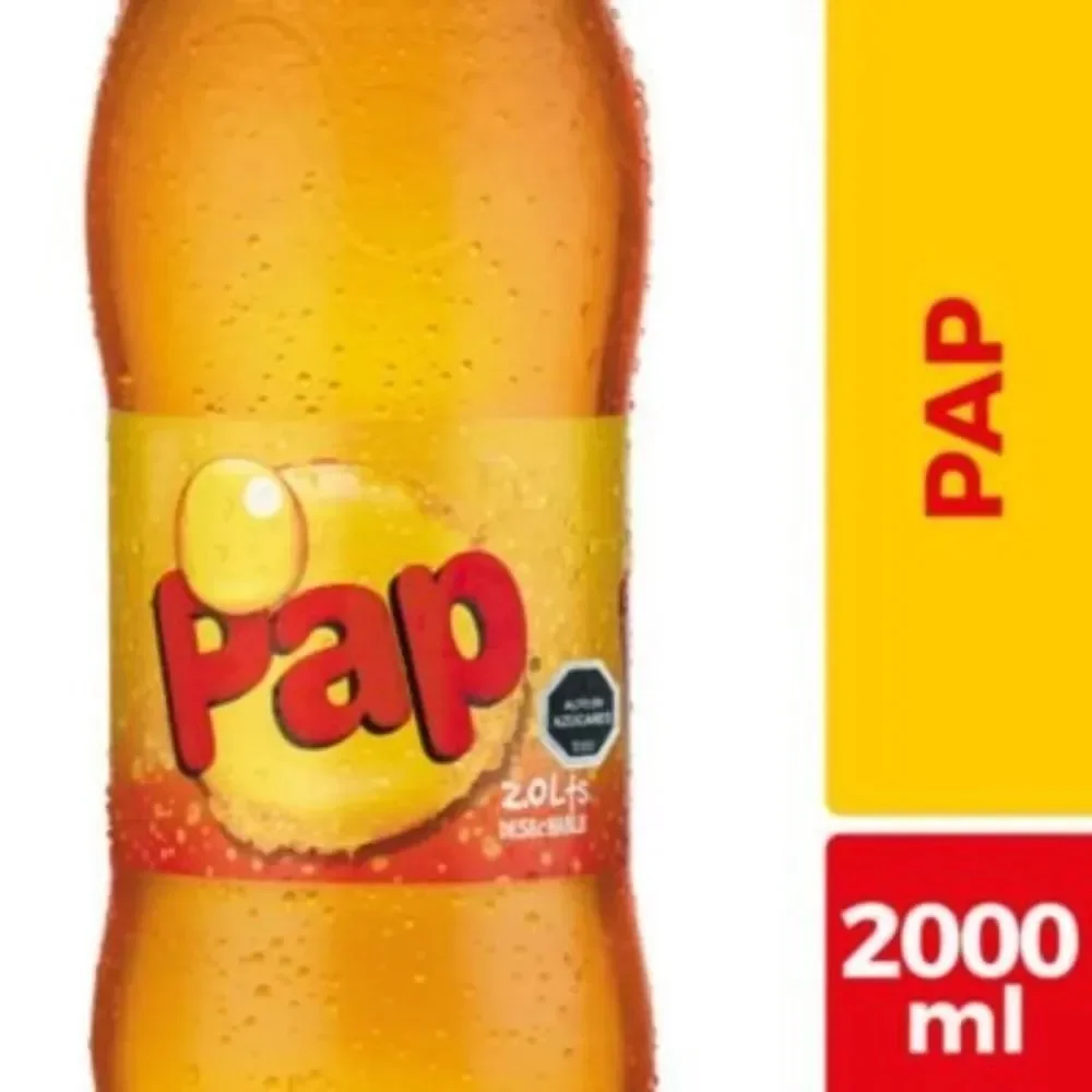 PAP 2L