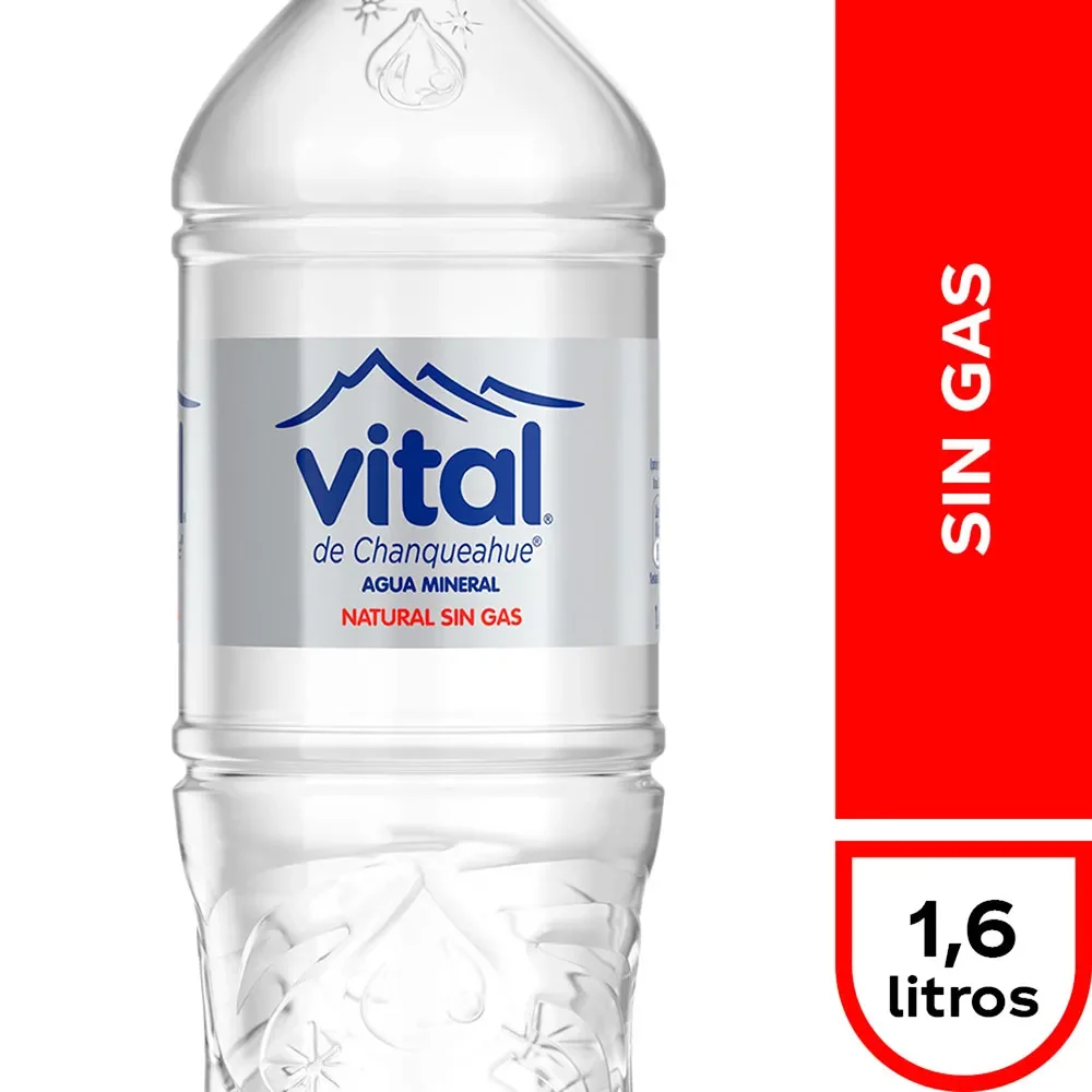 VITAL SIN GAS 1.6L