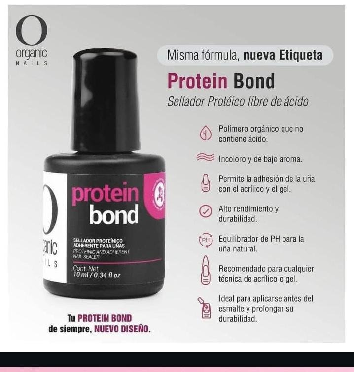 Proteín Bond